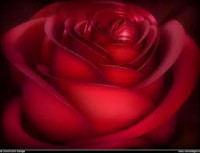 /album/poemas-originas-pensamentos/%c3%a7%c3%a7%c3%a7-jpeg1/
